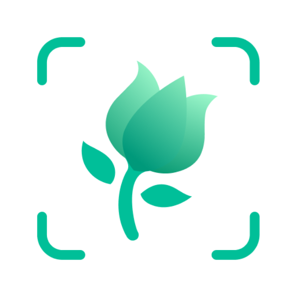 Picture This app icon